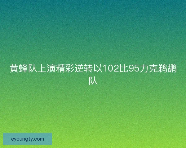 黄蜂队上演精彩逆转以102比95力克鹈鹕队